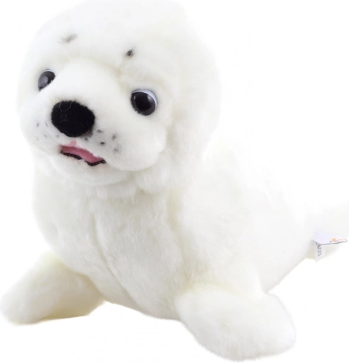 Detalii sigure potrivite de la 0+