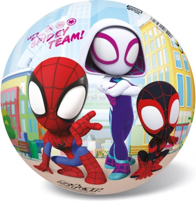 Minge Spiderman 23 cm