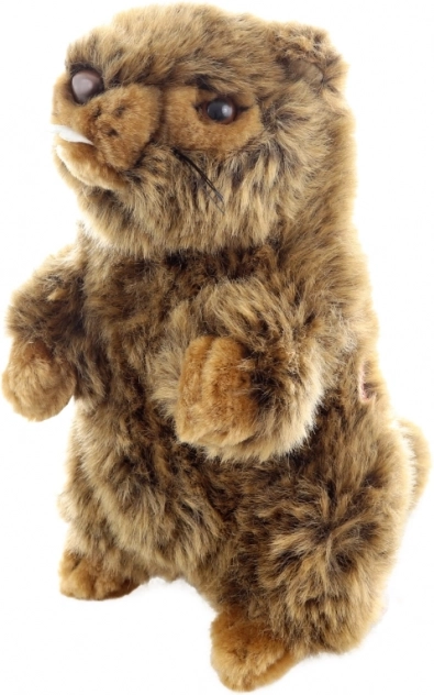 Marmot de pluș cu sunet Eco-Friendly