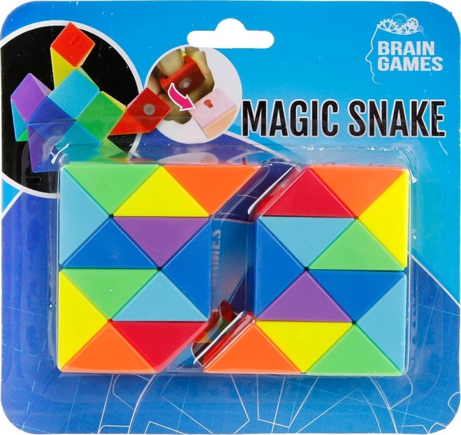 Joc Logica Magic Snake 2x12