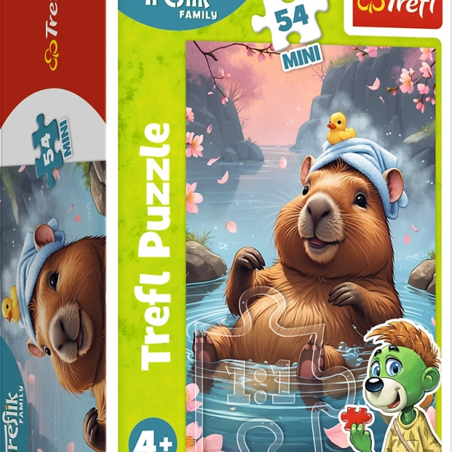 Puzzle Treflíci 54 piese