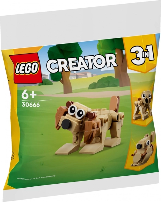 Animale Cadou LEGO Creator 3 în 1