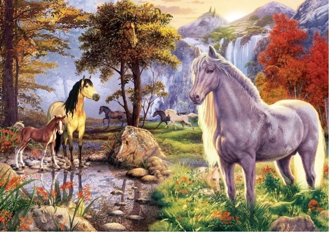 Puzzle cai ascunși 1000 piese