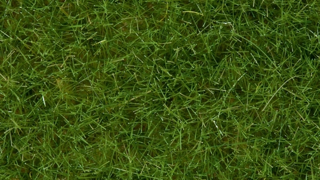 Iarbă statică sălbatică verde deschis 6 mm Noch