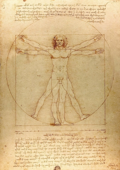Puzzel 1000 piese bărbatul vitruvian