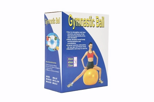 Minge de gimnastică pentru reabilitare 65cm