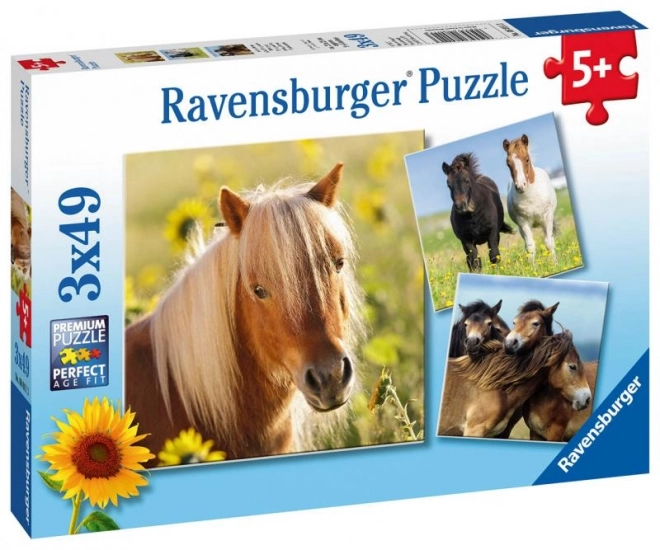 Puzzle Ravensburger cai 3x49 piese