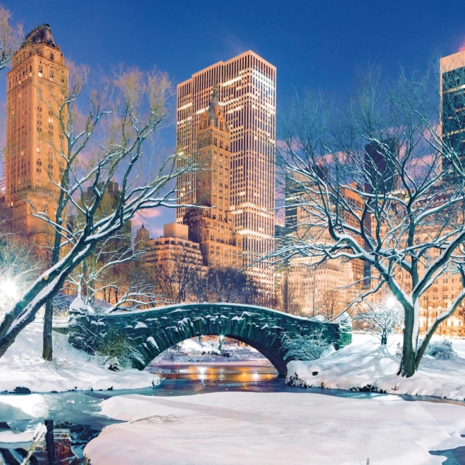 Calendar cu notițe New York 2026
