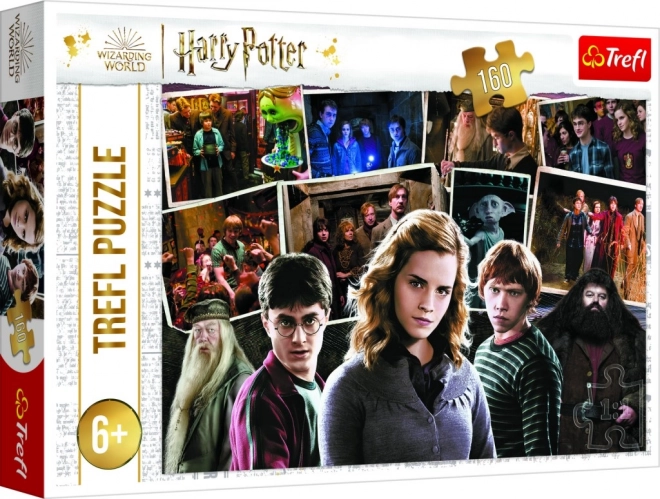 Puzzle Harry Potter și prietenii - 160 de piese