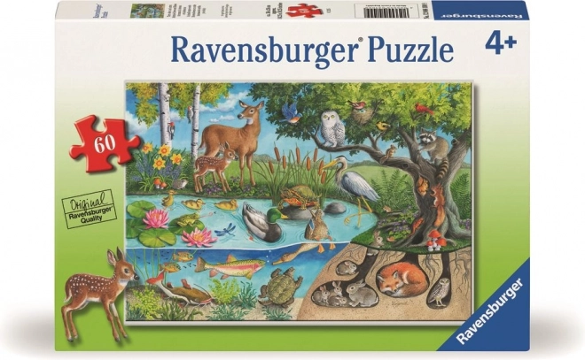 Puzzle Animale pe pământ și sub ea – tainele naturii 60 piese