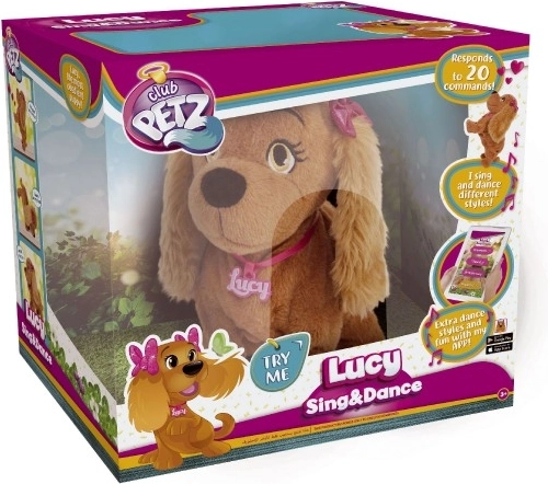 Cântă și dansează în diferite stiluri