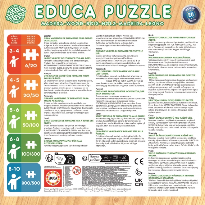 Puzzle din lemn Educa Regatul de Gheață 2x25 piese