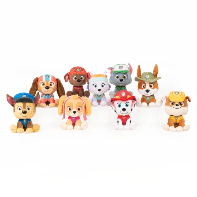 Colecție oficială PAW PATROL