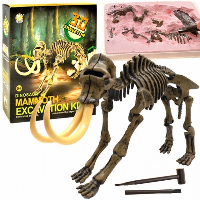 Skelet Mamut Excavare 3D – B