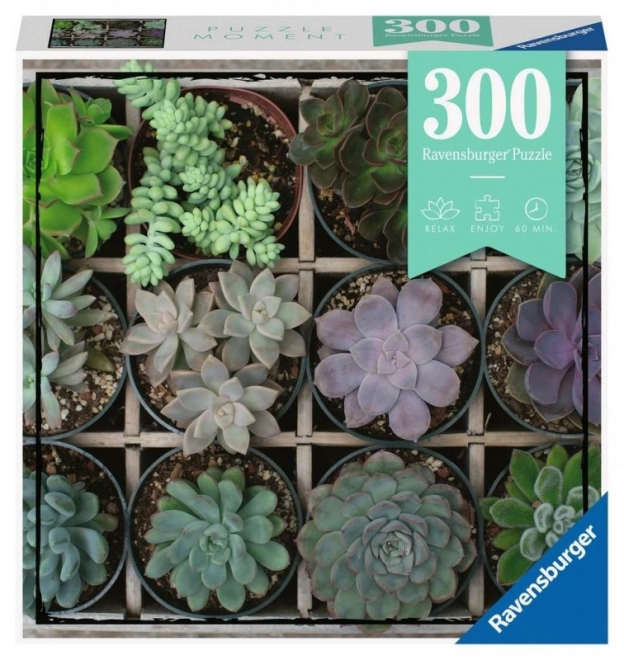 Puzzle 300 piese Moment 4 Ravensburger