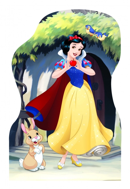 Puzzle contur Disney Prințese 4x54 piese