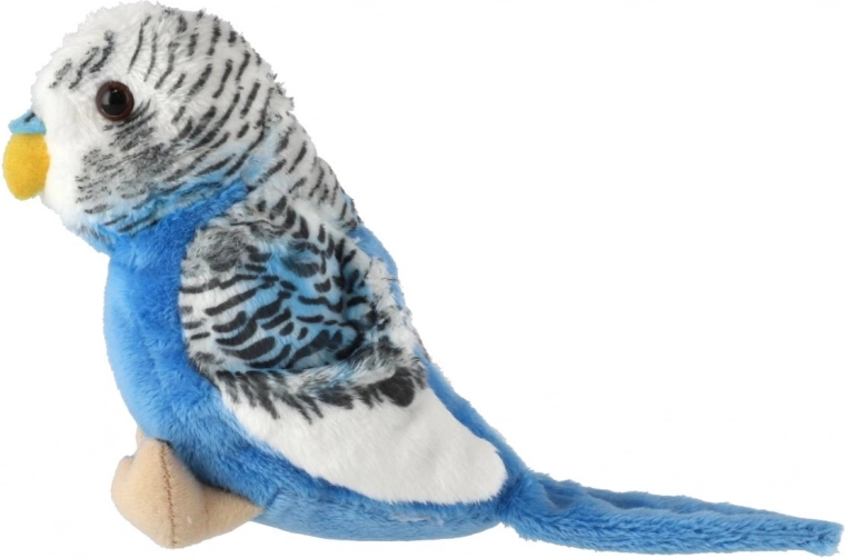 Detalii realiste ale penajului și aspectului