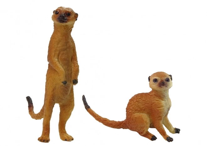 set cu 2 figurine suricate din seria animale din lume