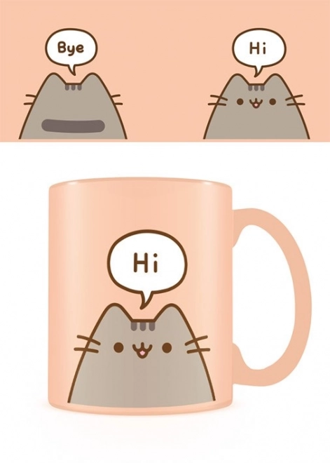 Cana Pusheen Hello Goodbye