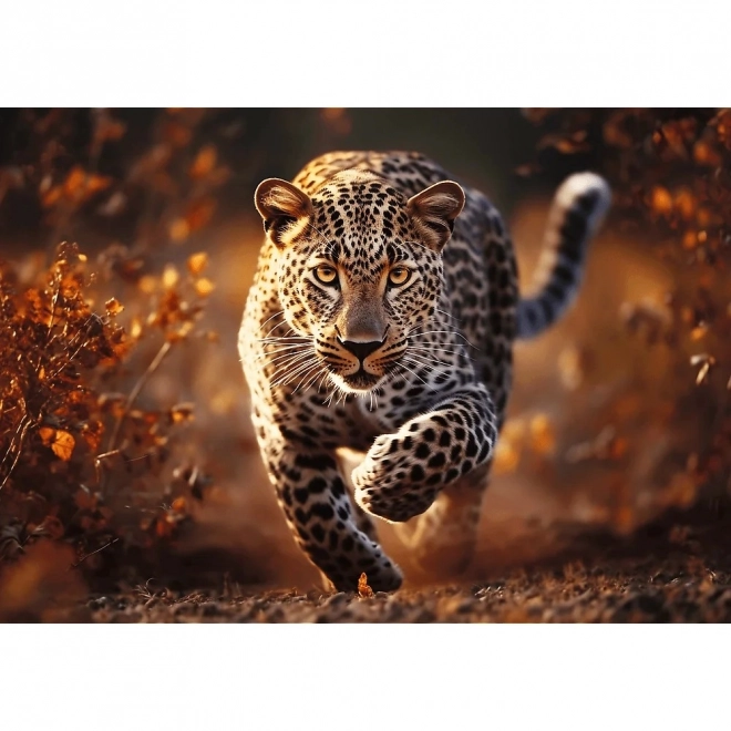 Puzzle 1000 piese leopard sălbatic