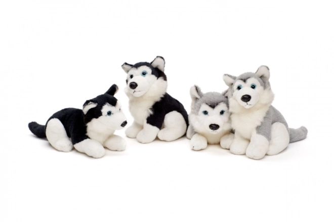 jucărie husky de pluș 15 cm