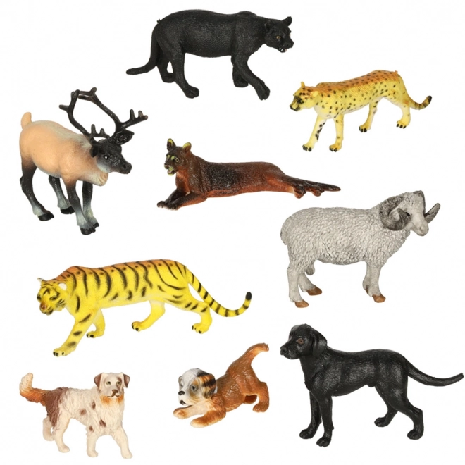 Set figurine animale zoo