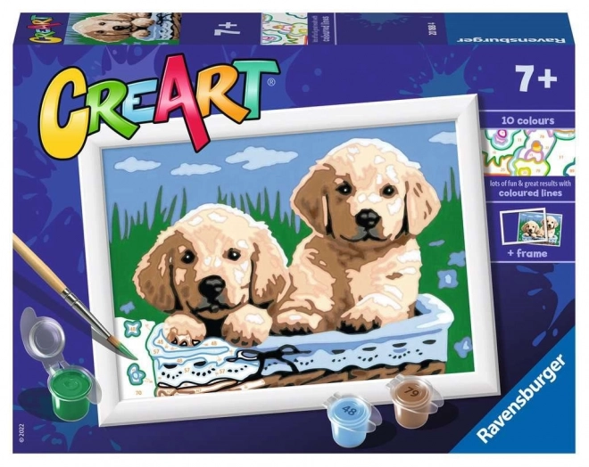 ravensburger creart pictură după numere: cățeluși drăguți