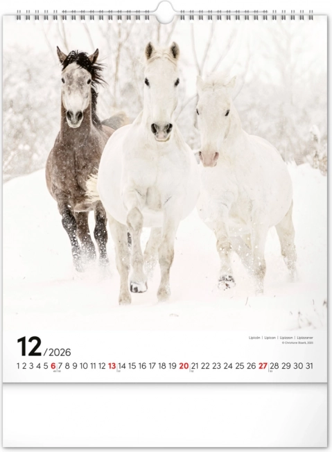 Calendar de perete Cai 2026