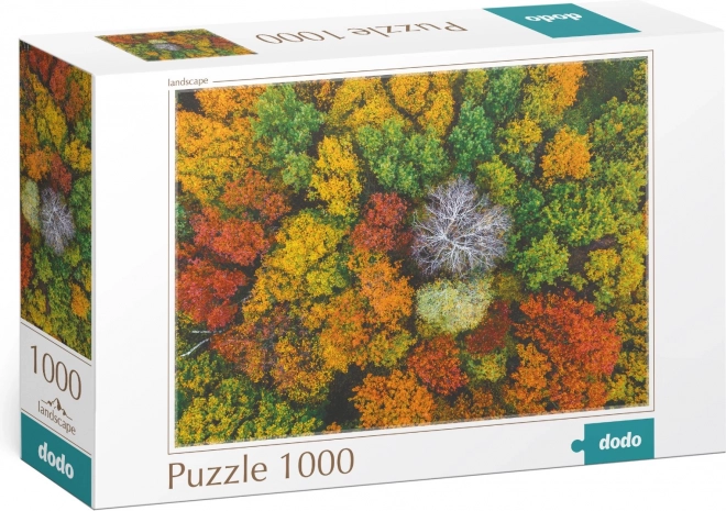 Puzzle Dodo - Dzembronya, Ucraina, 1000 de piese