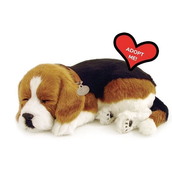 Cățeluș Relaxant Beagle