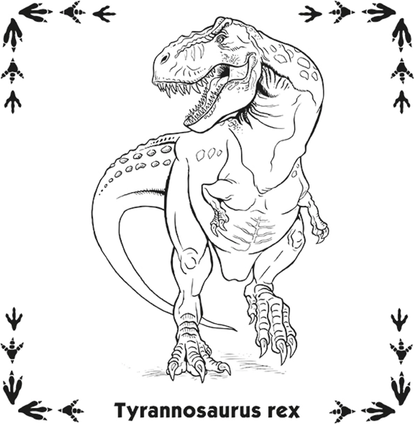 Pexeso Dinozauri