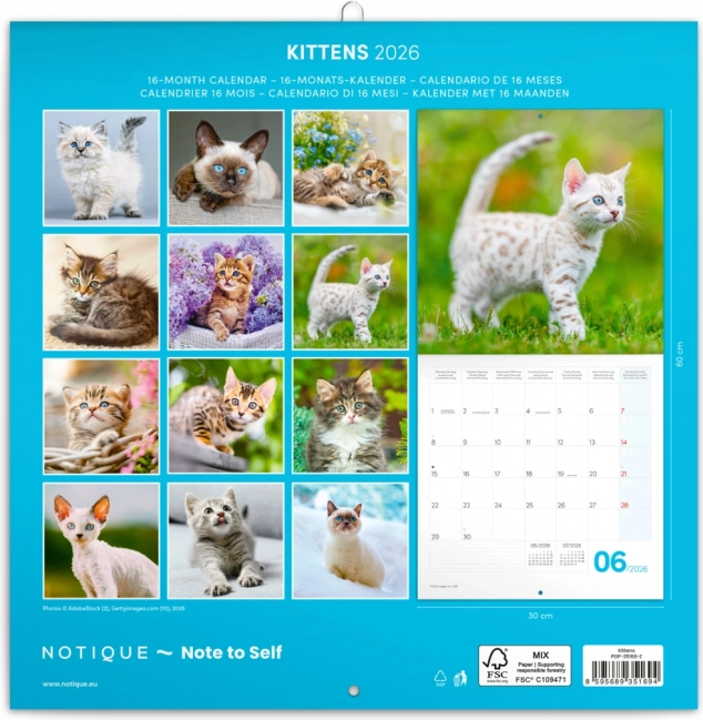 Calendar de notițe Pisicuțe 2026