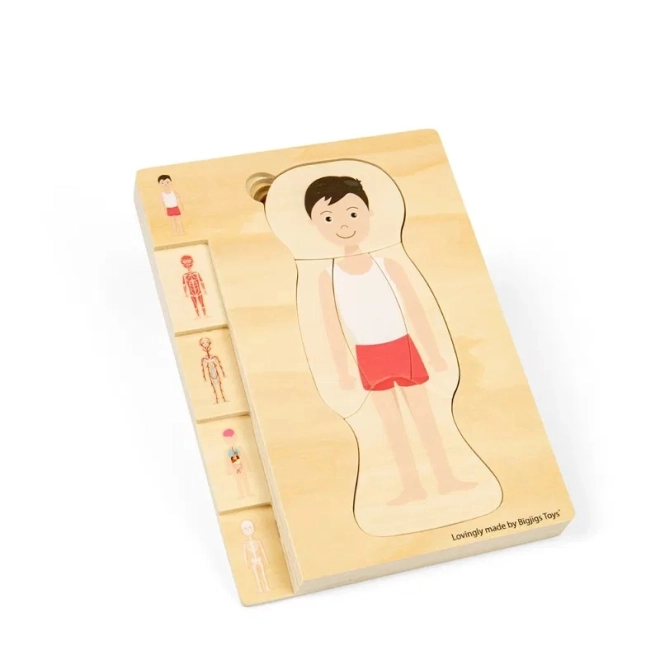 Puzzle din lemn anatomie - băiat