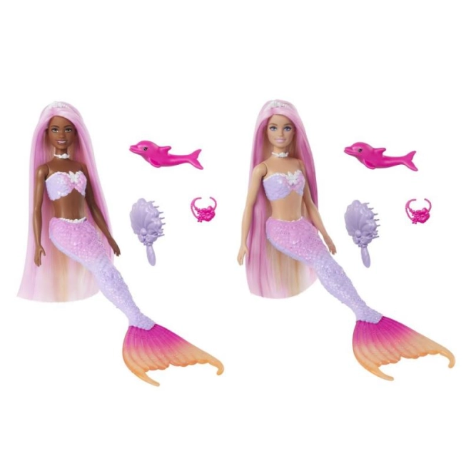 Accesorii subacvatice și delfin adorabil