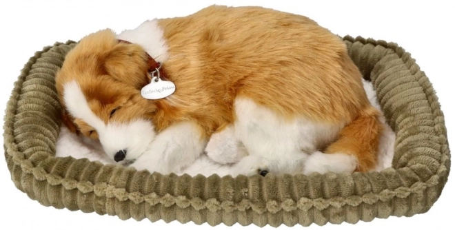 Cățeluș collie scoțian de jucărie respirabil