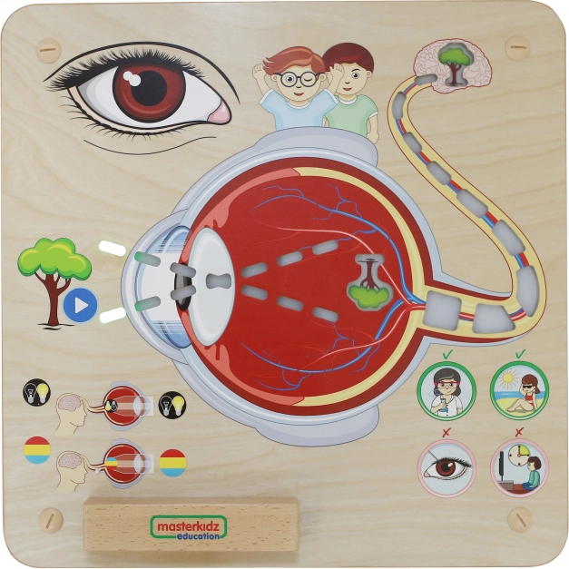 Tablă Educațională Masterkidz Vedere Montessori