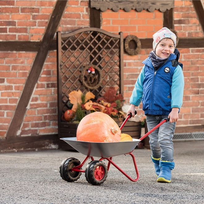 Tăruță metalică pentru copii Rolly Toys