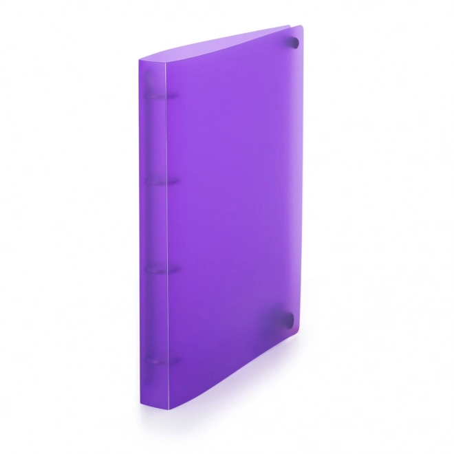 organizator ring cu 4 inele Opaline violet