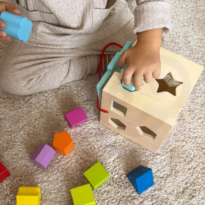 Jucărie lemn TOOKY TOY - Cub Sortator de Forme și Culori