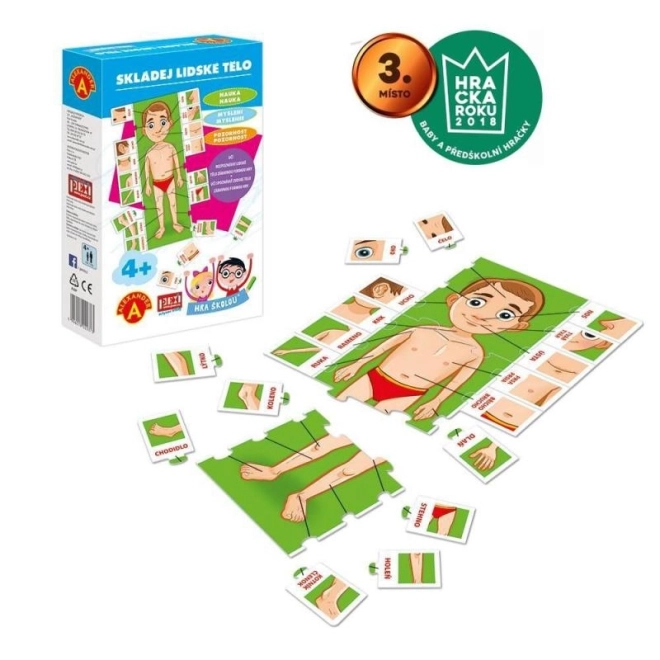 joc educativ puzzle corpul uman