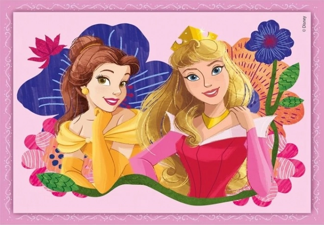 Puzzle Progresiv Disney Princess