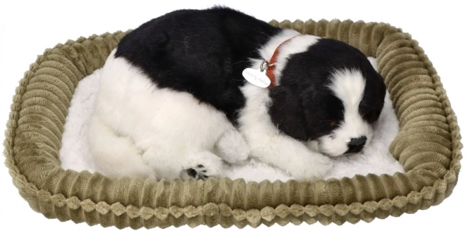 Border Collie respirație jucărie de pluș adoptabilă