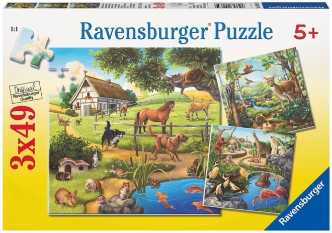 Puzzle cu animale de companie