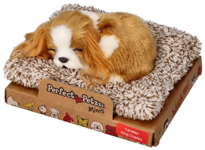 Cățeluș adormit Cavalier King Charles Perfect Petzzz