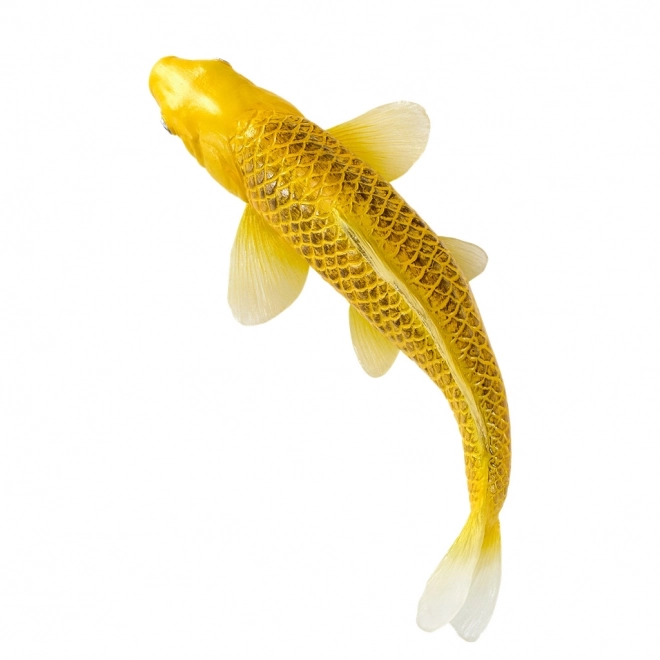 Mojo crap koi Matsuba