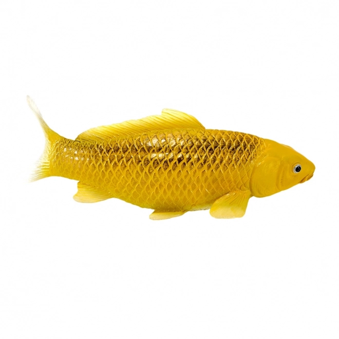 Mojo crap koi Matsuba