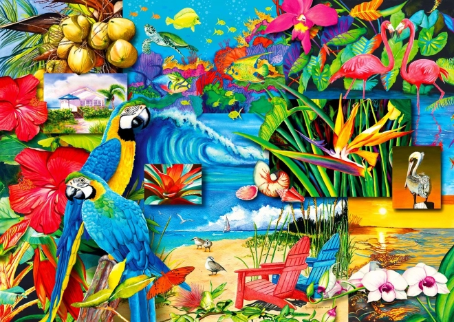 Puzzle comorile tropicale 1000 piese