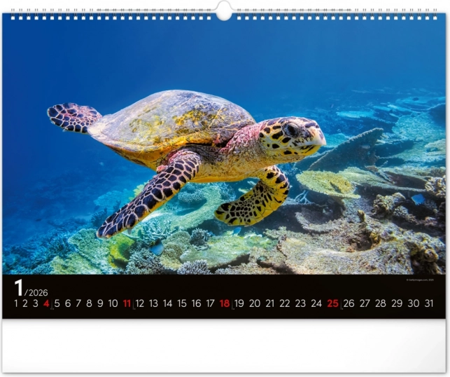 Calendar de perete Lumea subacvatică 2026