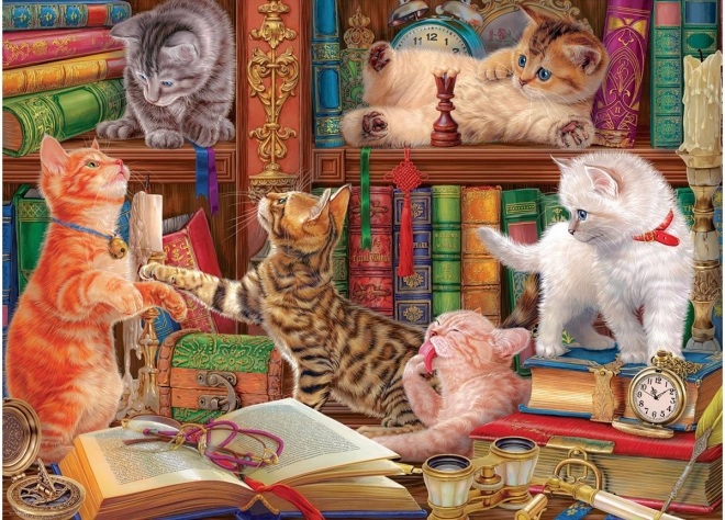 Puzzle Eurographics Bibliotecă De Pisici 1000 Piese