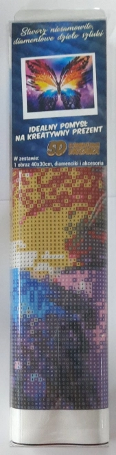 Norimpex Pictură diamant Coloratul fluture 30x40cm